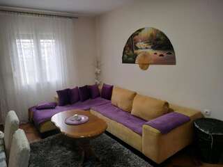 Апартаменты Comfort Apartment Helena Подгорица Апартаменты с 2 спальнями-31