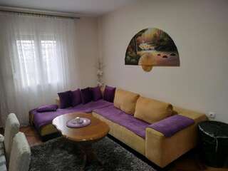 Апартаменты Comfort Apartment Helena Подгорица Апартаменты с 2 спальнями-54